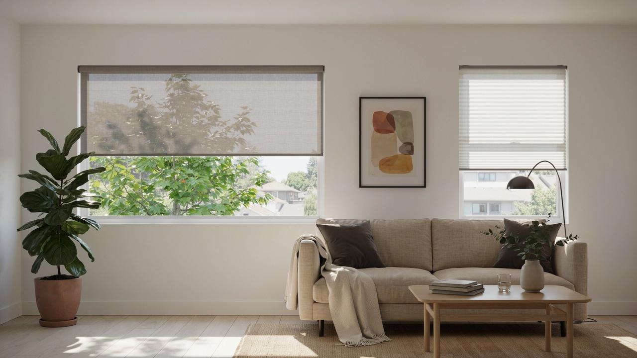 Contemporary living room comparing light filtering solar shade and soft cellular shade on windows.